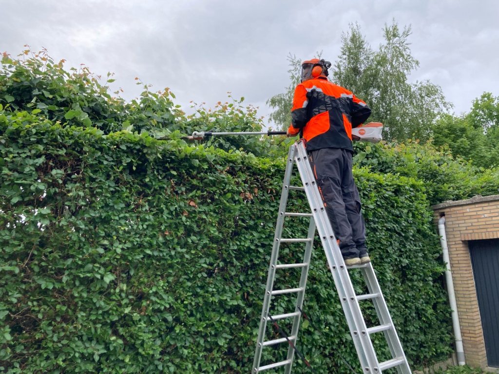 whatsapp-image-2025-09-24-at-145200 whatsapp-image-2025-09-24-at-145200