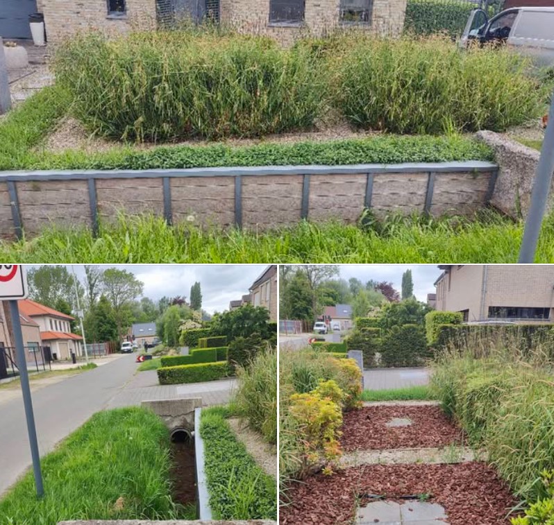 Services-02 whatsapp-image-2025-09-24-at-145227-1