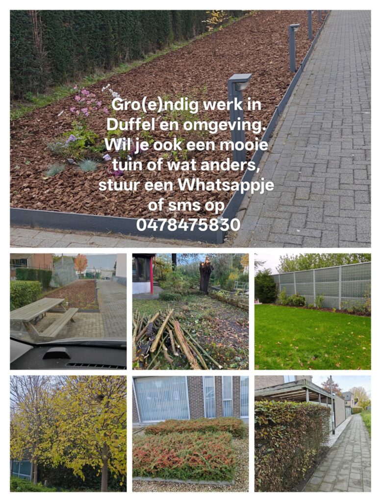 groendig diensten overzicht